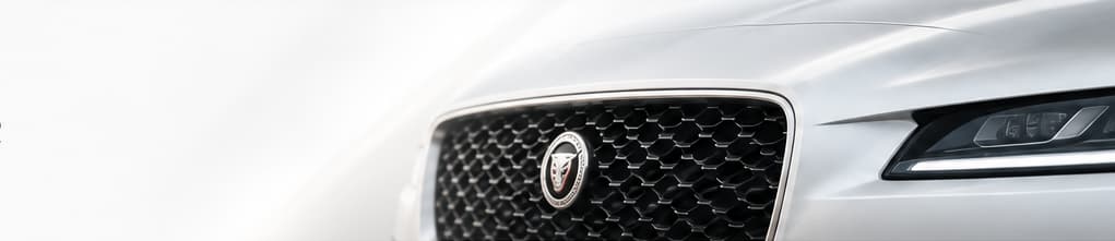 Jaguar front grille and headlight